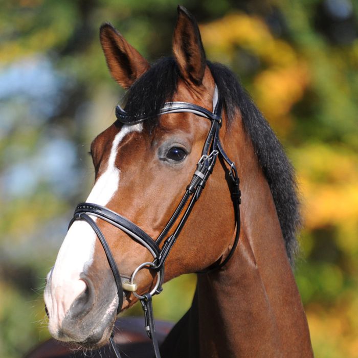 Ogłowie Ella Kavalkade Kaval SH4 - Cavalo